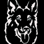 Profilbild von nitzuhage